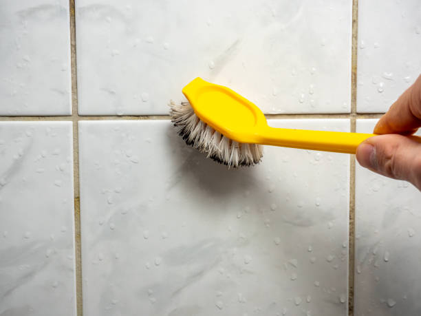 Best Local Mold Removal Service  in Towanda, KS