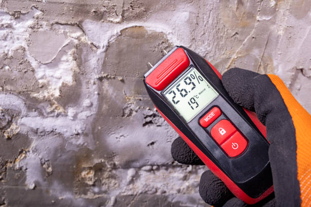 Trusted Towanda, KS Mold Removal Experts