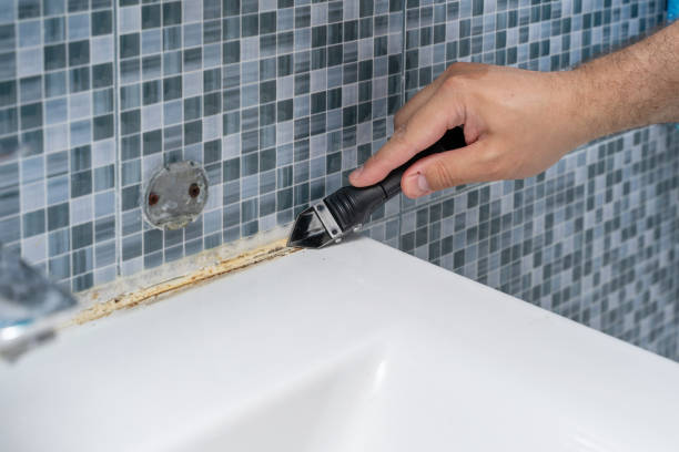 Best Home Mold Removal  in Towanda, KS