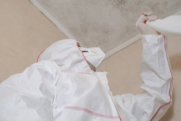 Water Damage Restoration in Towanda, KS