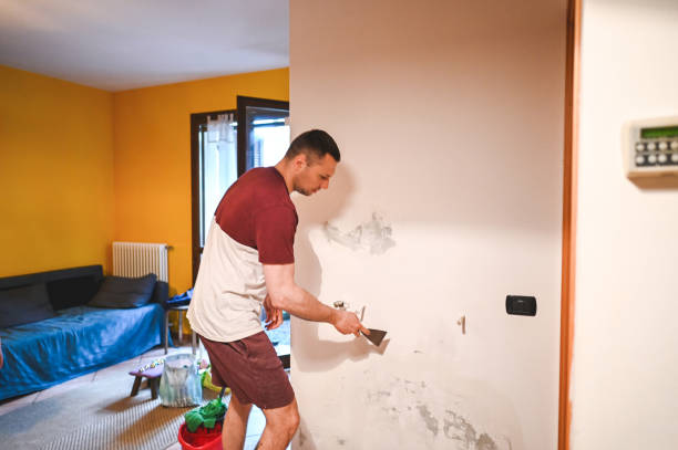 Best Crawl Space Mold Removal  in Towanda, KS